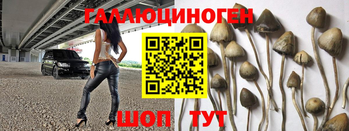 Галлюциногенные грибы ЛСД  Вход с VPN  Галлюциногенные грибы мухоморы  Москва 